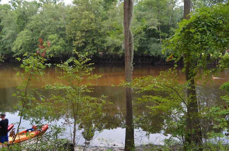 Colleton State Park, South Carolina, USA